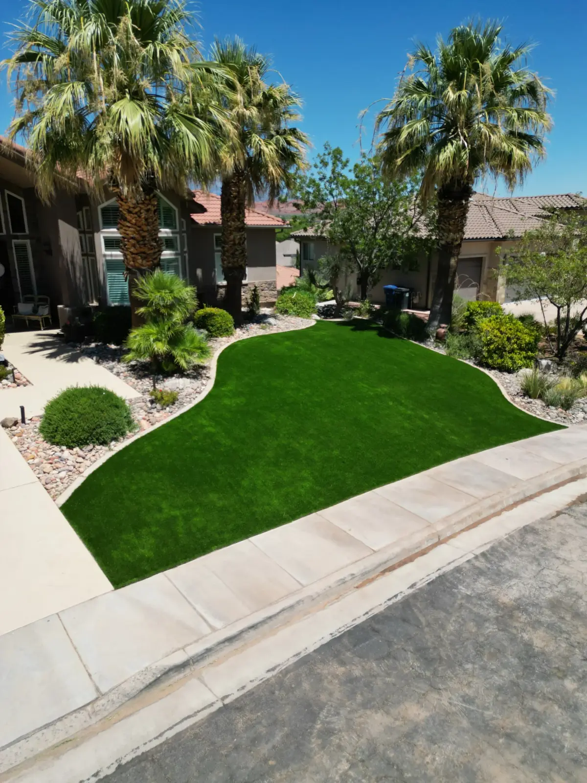 Aerial view of a palm-lined front yard with desert landscaping