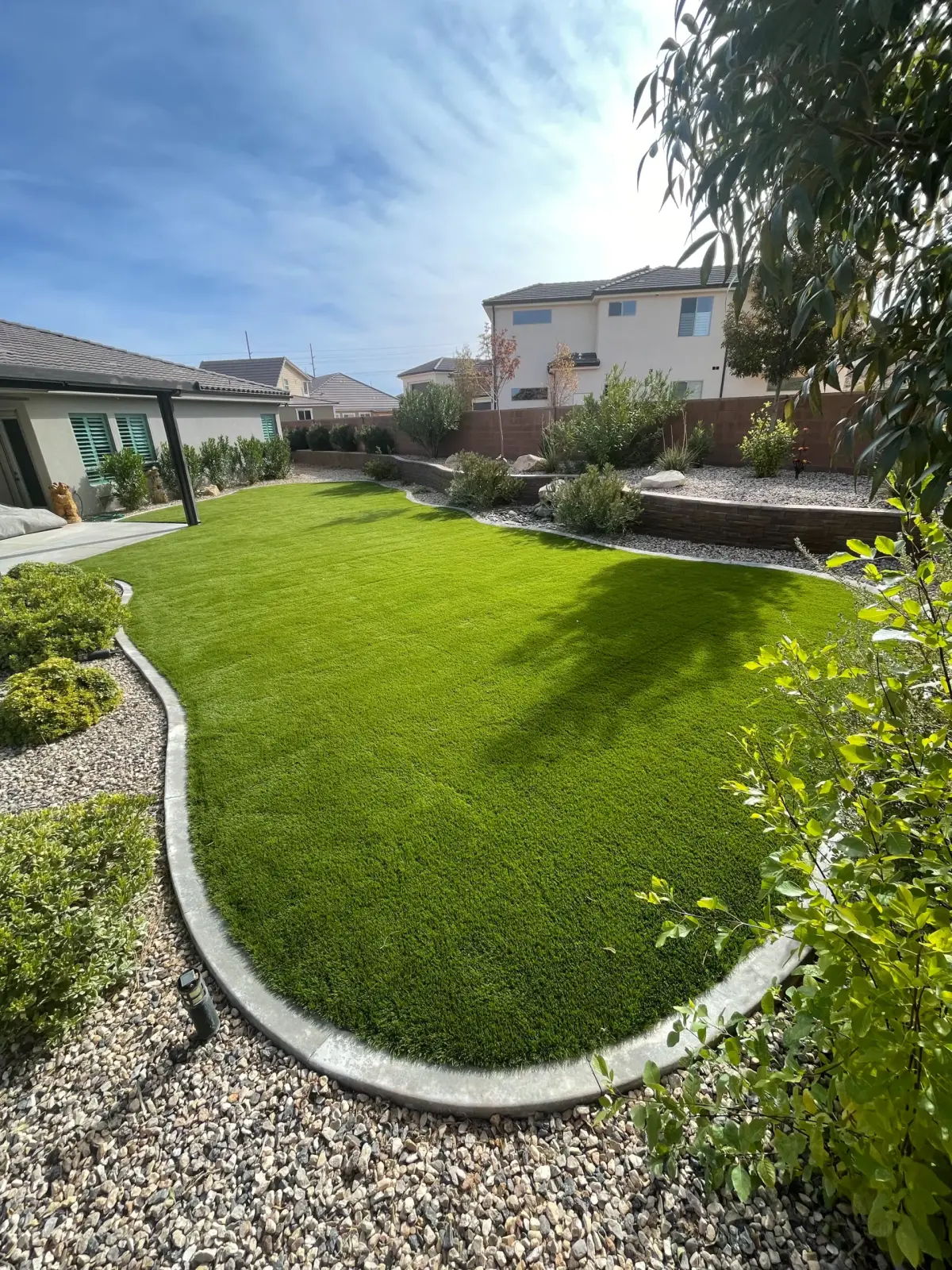 Backyard turf lawn with concrete curbing