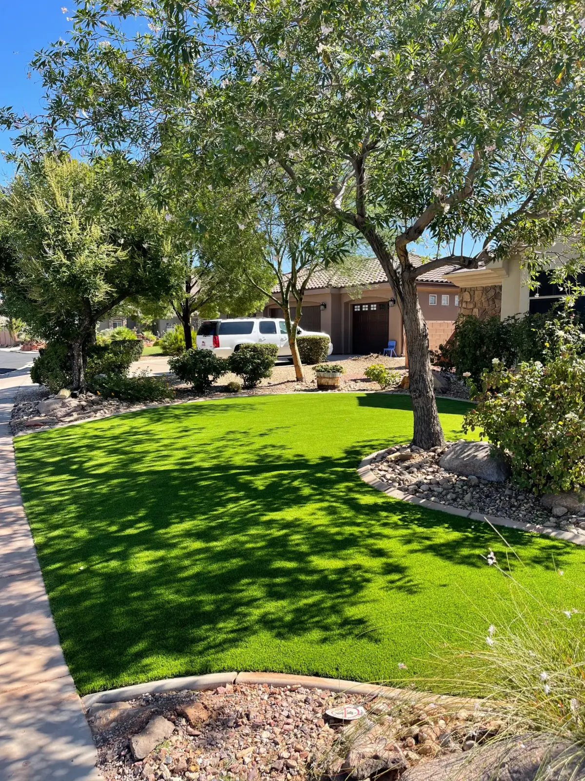 Shaded front yard turf under mature trees